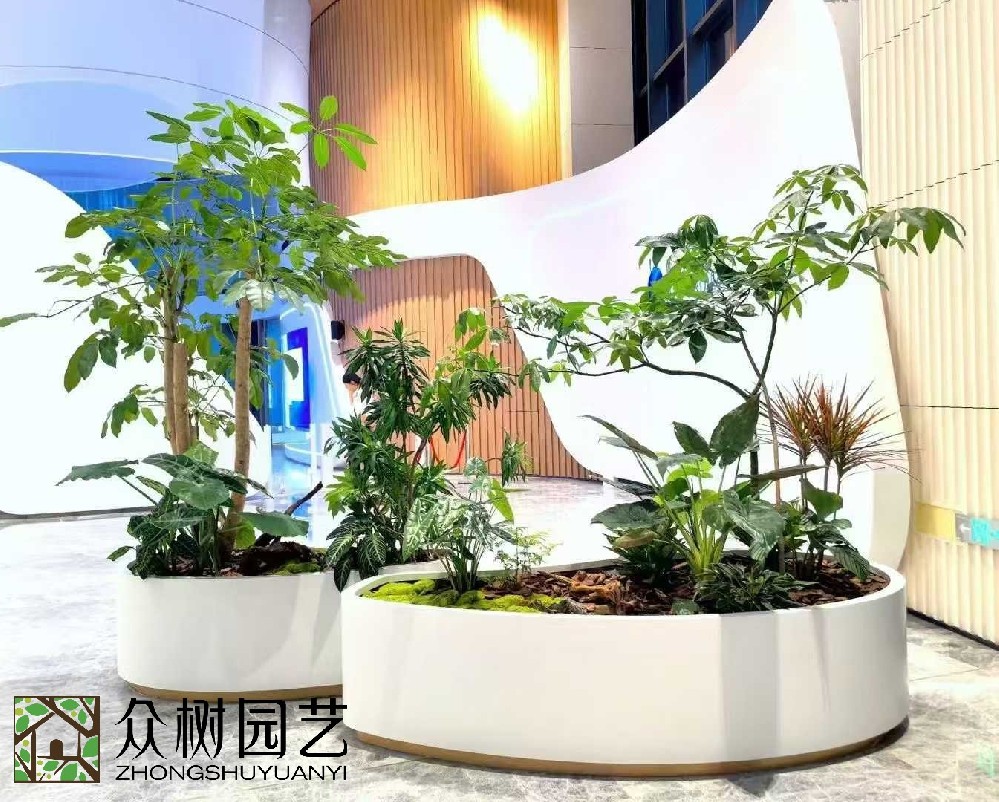 蘇州植物租賃與養(yǎng)護服務(wù)完全指南