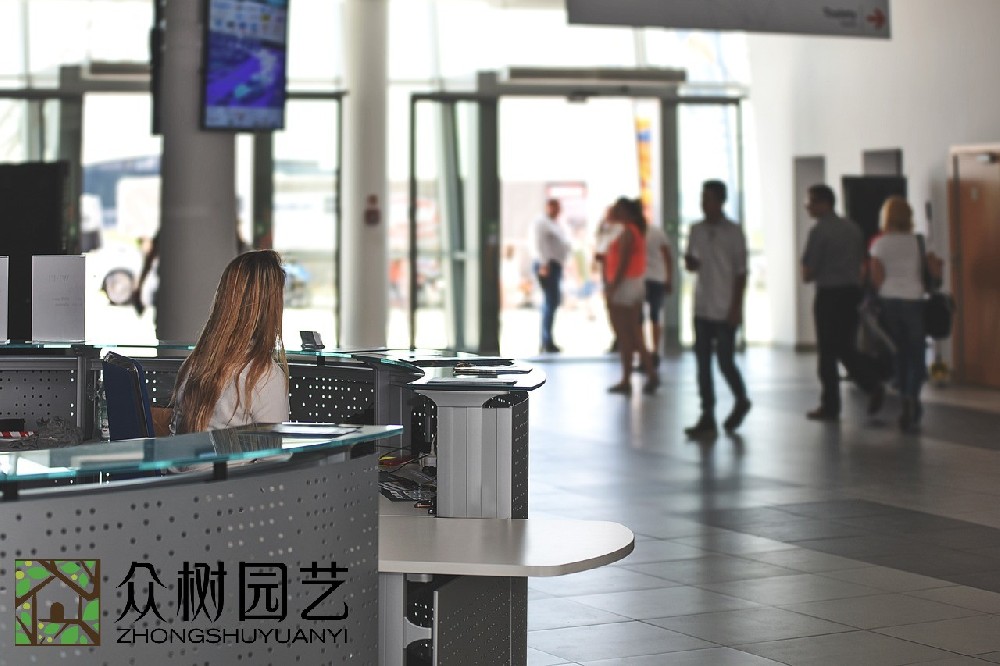 蘇州學校綠植租擺企業(yè)：打造環(huán)保校園的綠色植物解決方案