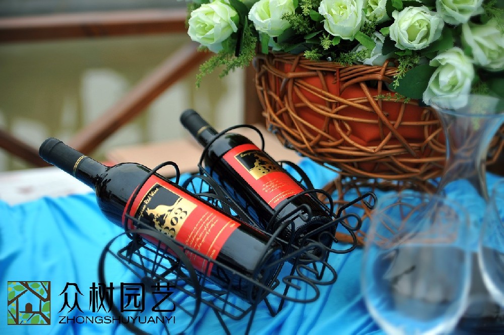 蘇州室外綠植租擺廠家：為你的空間注入生機與美感